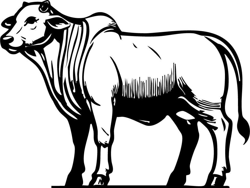 Recria