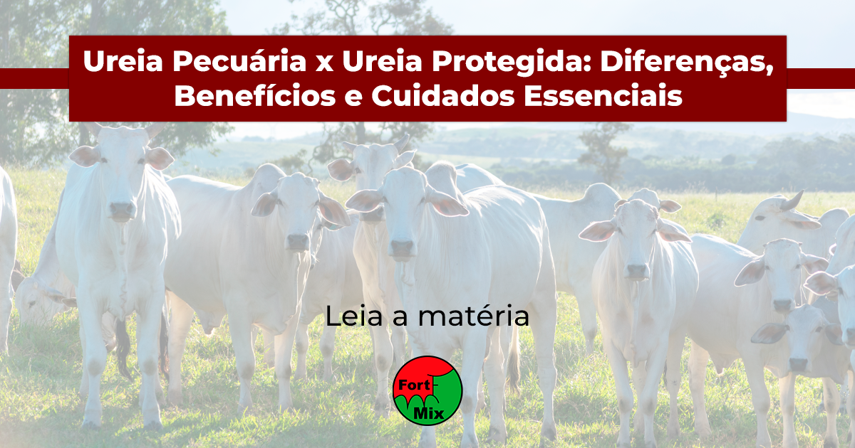 Ureia Pecuária x Ureia Protegida: Diferenças, Benefícios e Cuidados Essenciais