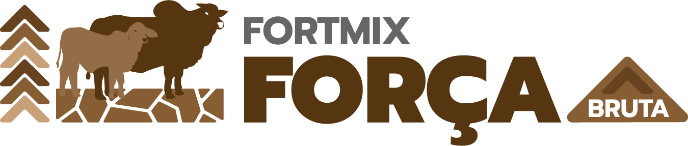 Força Bruta